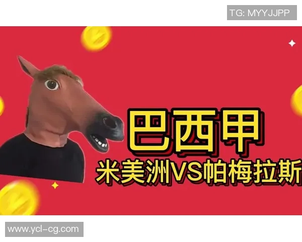 米美洲与帕梅拉斯激战在即谁能在这场对决中笑到最后